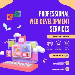 Web development service