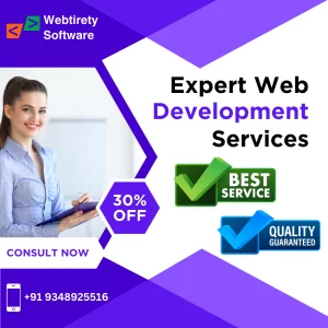 Professional web design and web development services